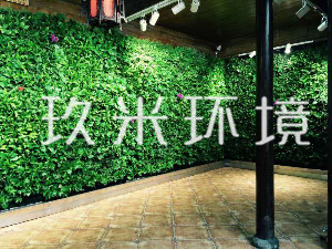 杭州杨公堤郭庄植物墙