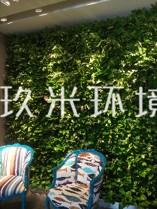 杭州意酷服饰植物墙