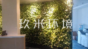 绿城小学植物墙