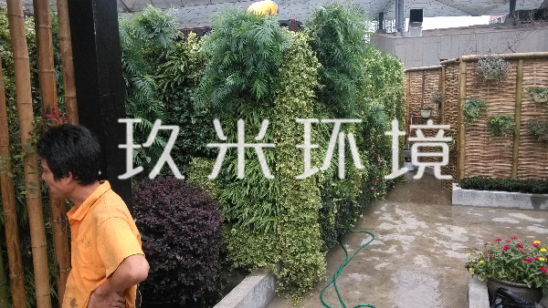 植物墙