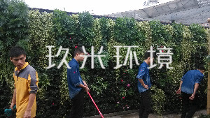 植物墙屋顶花园