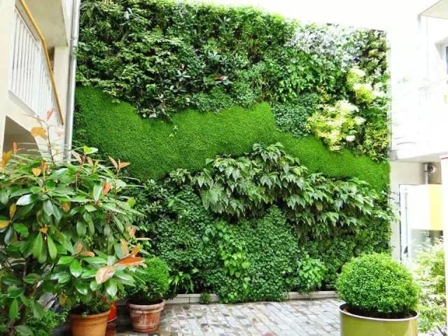 植物墙的四季之美