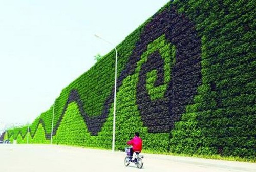 植物墙生活增添绿色