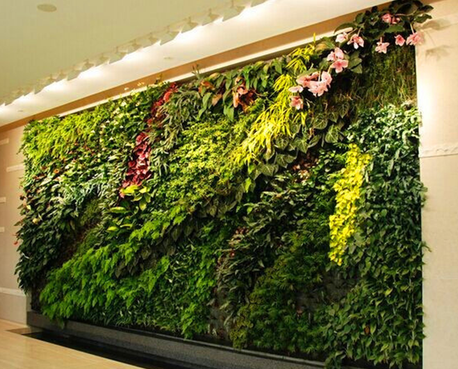 植物墙成为天然空调