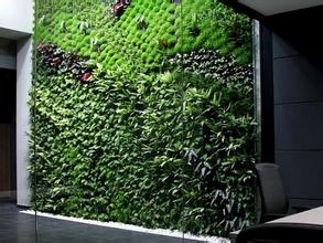 植物墙培养基质选择