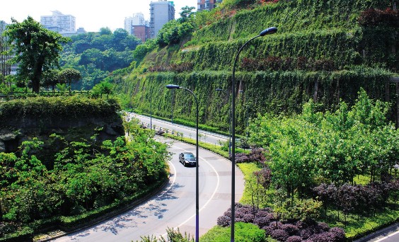 植物墙成城市景观