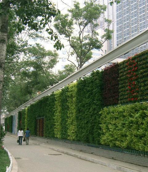 植物墙设计的美学