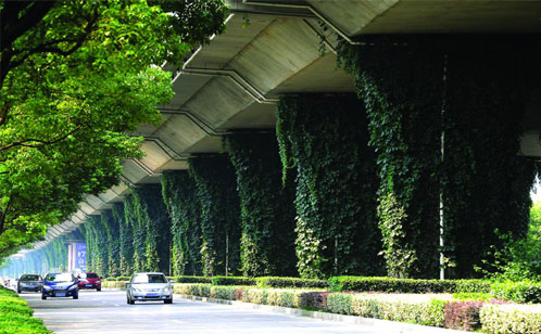 植物墙让自然回归城市