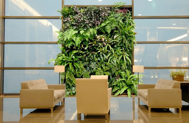 植物墙装饰优势