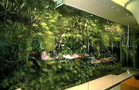 植物墙让世界更美丽