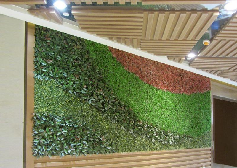 植物墙