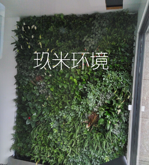 嵊州小匠装饰植物墙