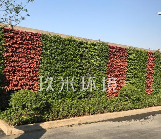 杭州高扬国际酒店植物墙