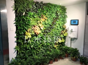 杭州创达环境科技股份有限公司植物墙