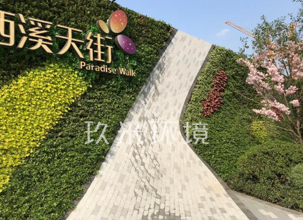 龙湖西溪天街景观植物墙